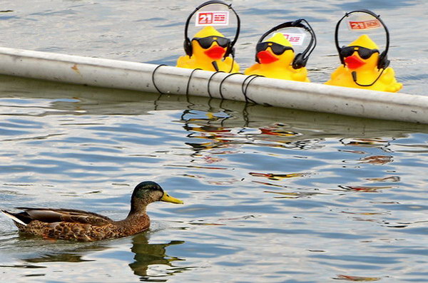 Maschsee13   688.jpg